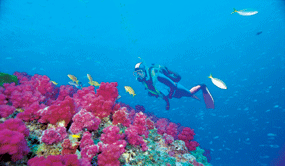 Solitary Islands - great for snorkelling © SW